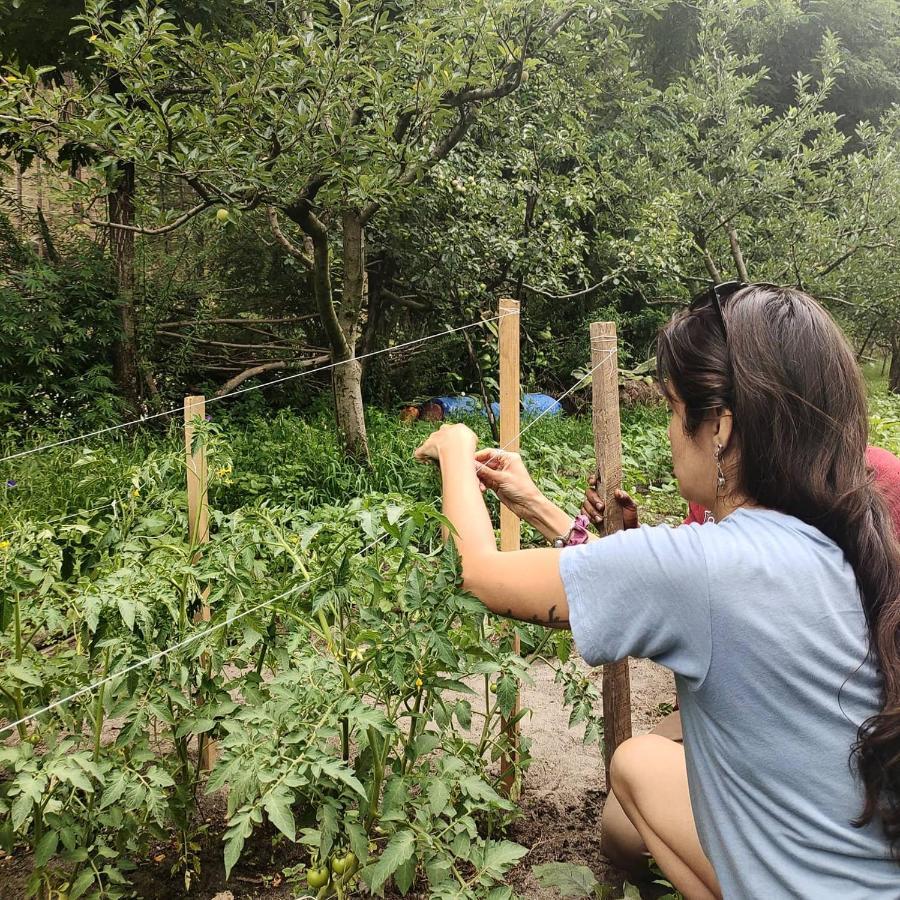 The Royal Orchard Kasol Ξενοδοχείο Εξωτερικό φωτογραφία